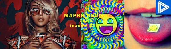 apvp Аркадак