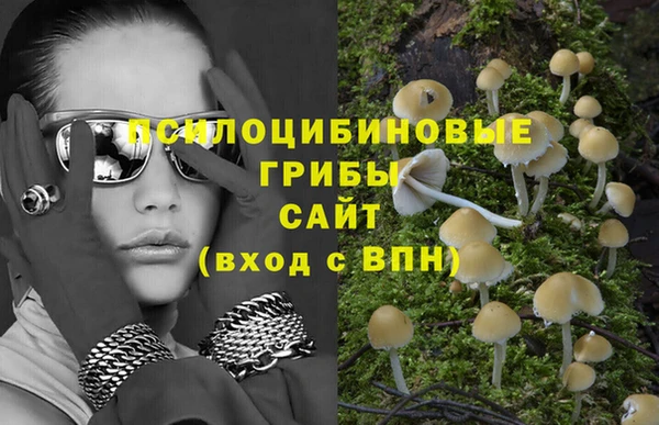 прущий лед Армянск